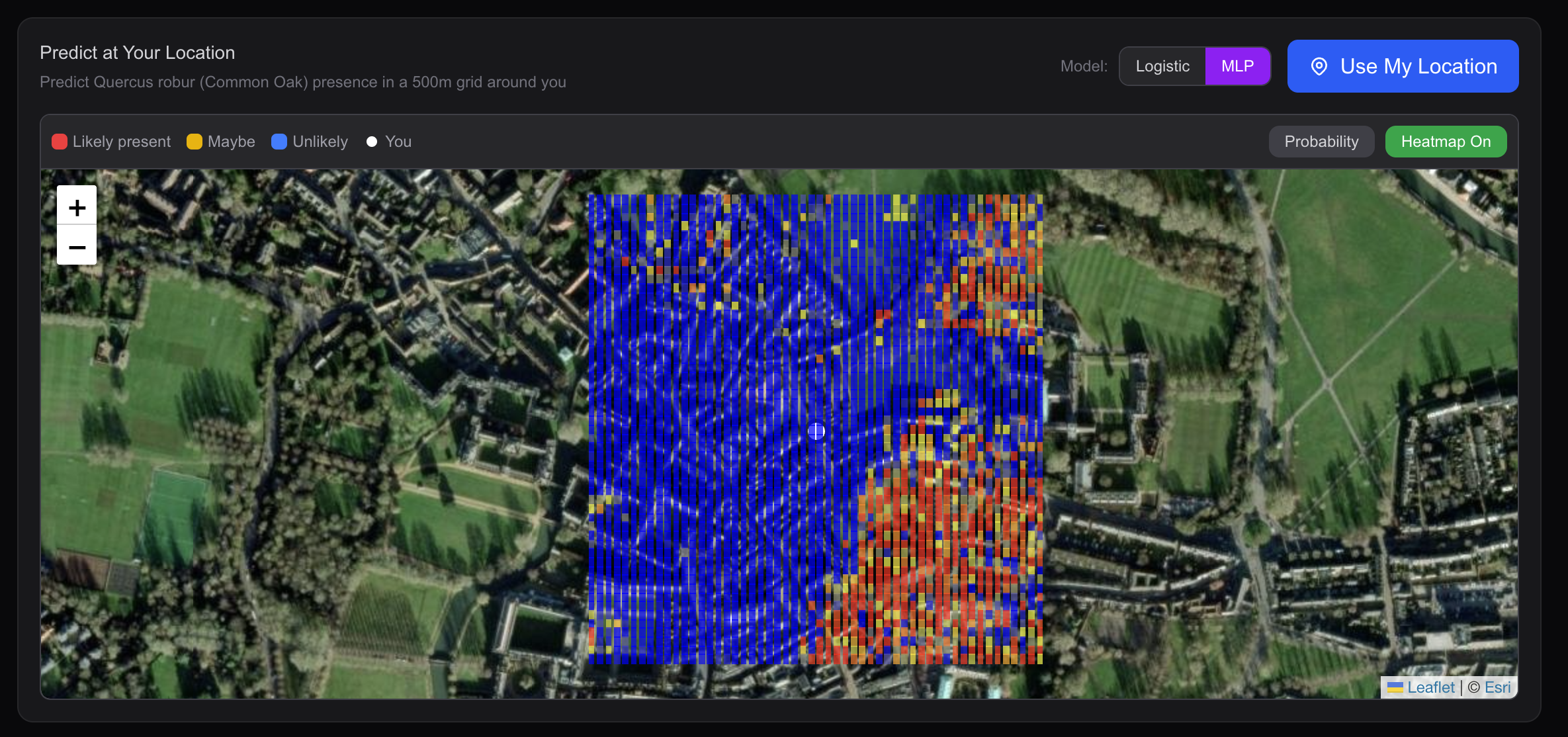 I'd love to have a heatmap like this for plant species around me whilst walking around Cambridge